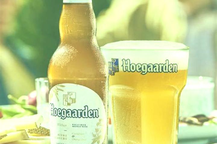 Escorts Hoegaarden, Belgium — Local Companions