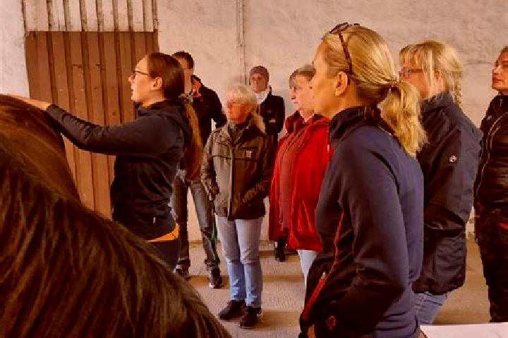 Escorts Hoeloe, Sweden — Local Companions