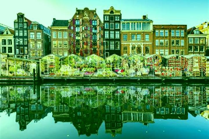 Escorts Hofgeest, Netherlands — Local Companions
