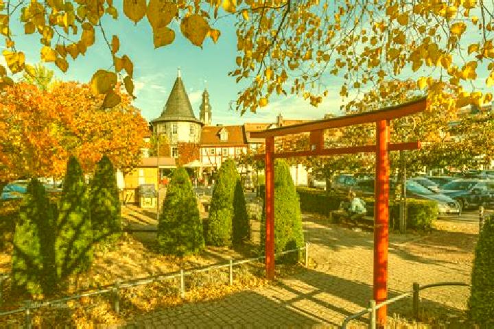Escorts Hofheim am Taunus, Germany — Local Companions
