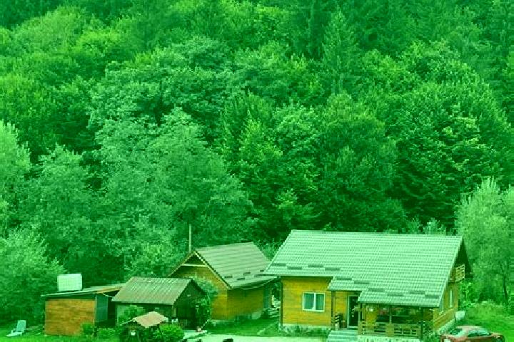 Escorts Holbav, Romania — Local Companions