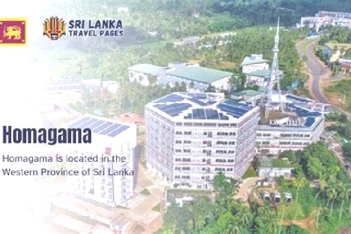 Escorts Homagama, Sri Lanka — Local Companions
