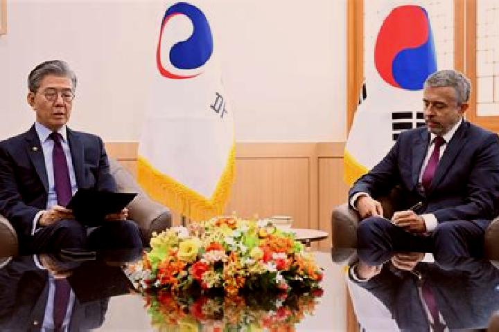 Escorts Hongseong, South Korea — Local Companions