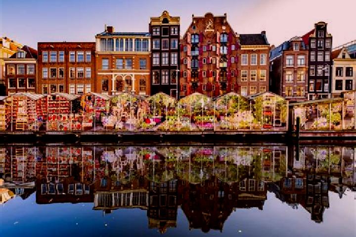 Escorts Hoogbraak, Netherlands — Local Companions