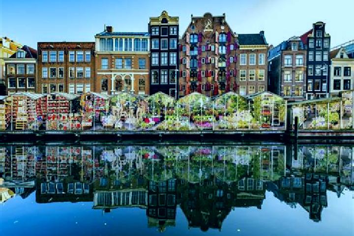 Escorts Hoogezand, Netherlands — Local Companions