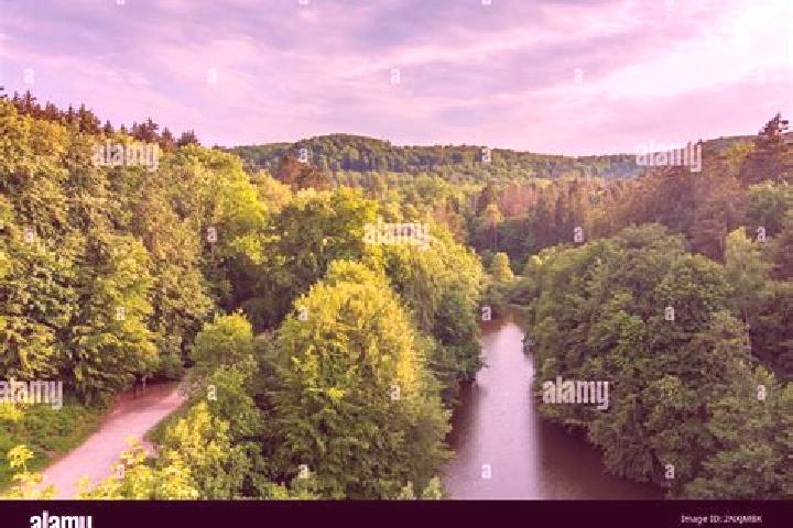 Escorts Horn-Bad Meinberg, Germany — Local Companions