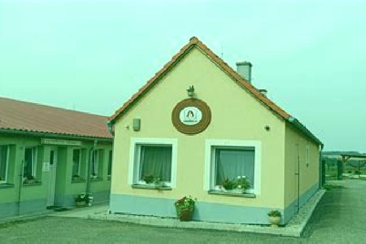 Escorts Horni Mecholupy, Czech Republic — Local Companions