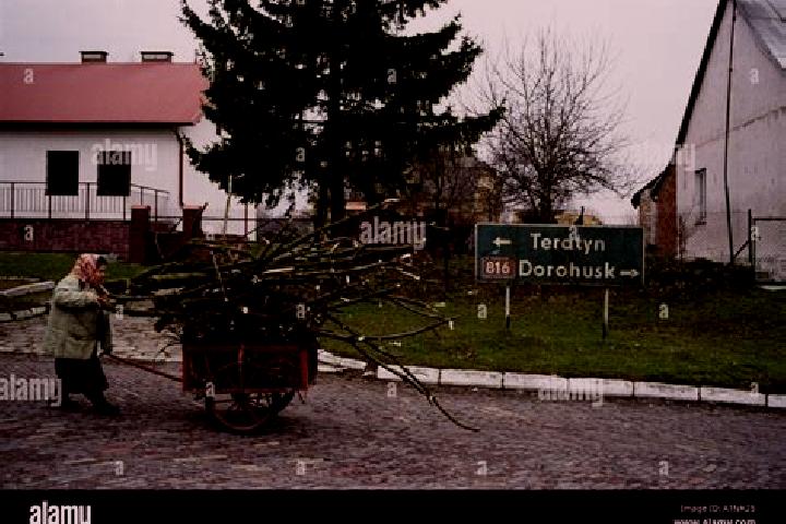 Escorts Horodlo, Poland — Local Companions