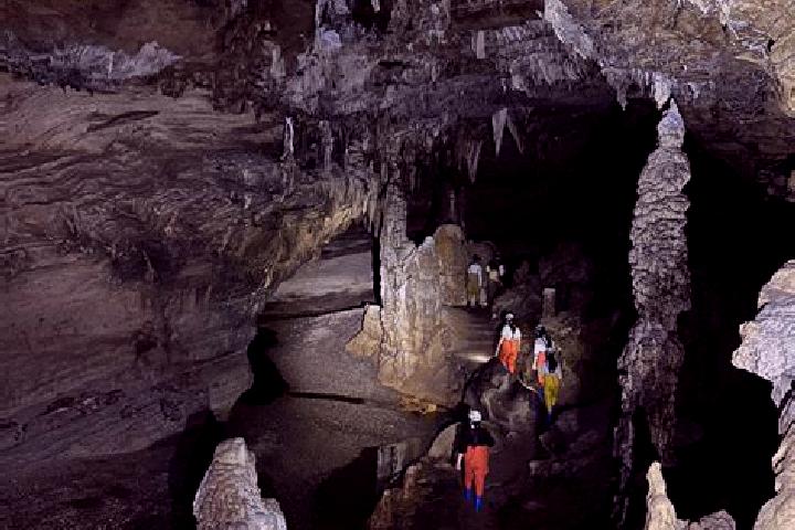 Escorts Horse Cave, United States — Local Companions