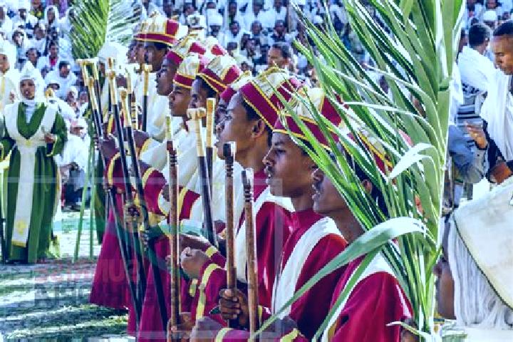Escorts Hosa ina, Ethiopia — Local Companions