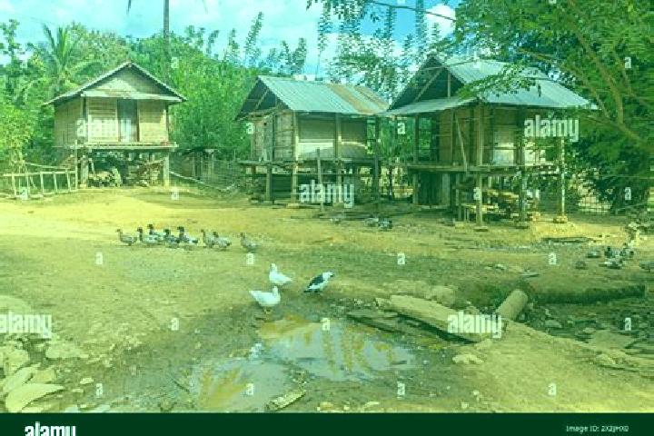 Escorts Houay Nga Na Song, Laos — Local Companions