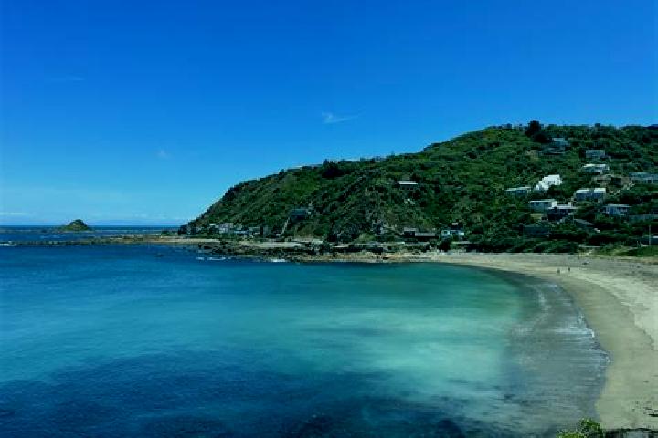 Escorts Houghton Bay, New Zealand — Local Companions