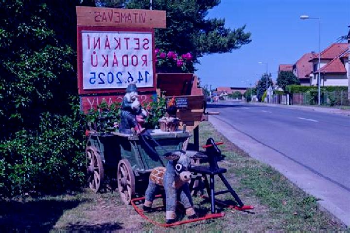 Escorts Hrochuv Tynec, Czech Republic — Local Companions