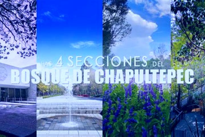 Escorts Huapacal 2da. Seccion, Mexico — Local Companions