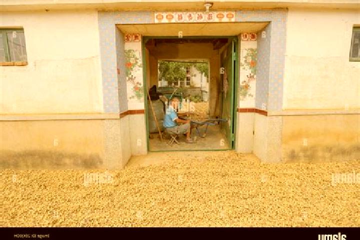 Escorts Hujia, China — Local Companions