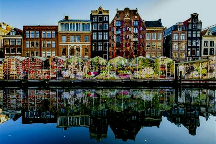 Escorts Hummelo, Netherlands — Local Companions