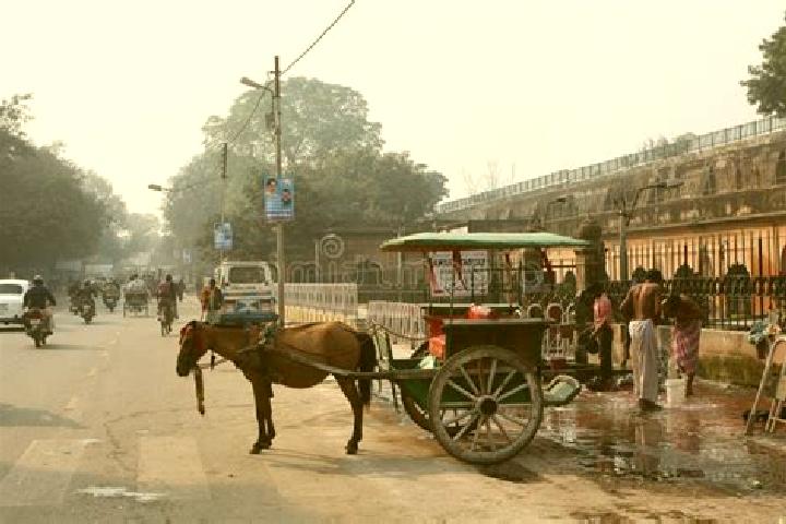 Escorts Husainabad, India — Local Companions