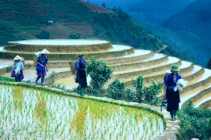 Escorts Huu Lung, Vietnam — Local Companions