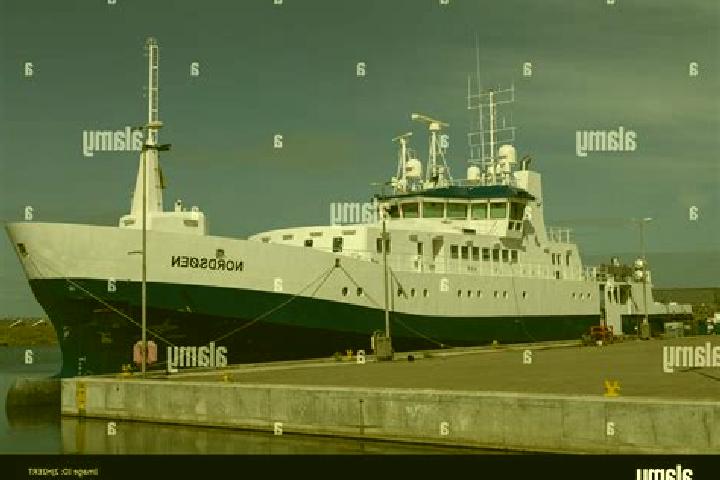 Escorts Hvide Sande, Denmark — Local Companions
