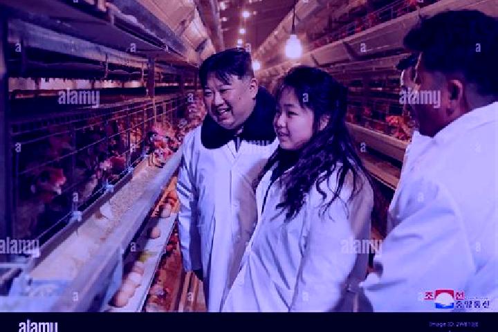 Escorts Hwangju-up, North Korea — Local Companions