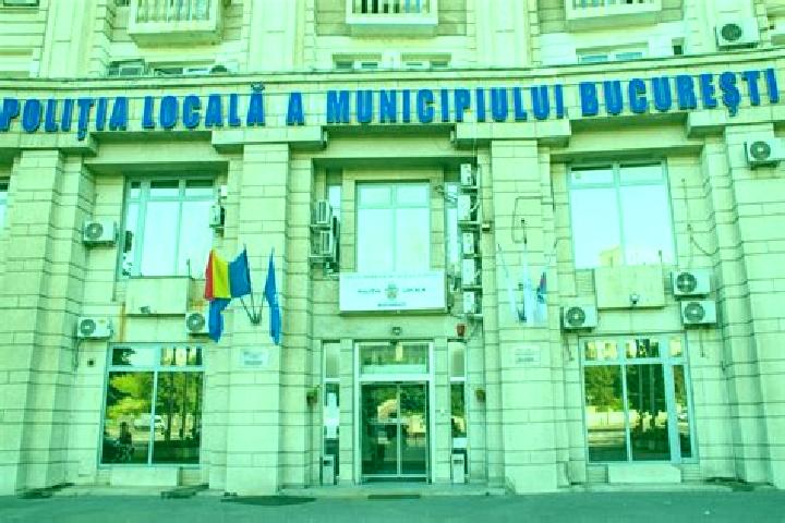 Escorts Iablanita, Romania — Local Companions
