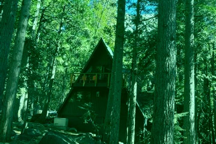 Escorts Idyllwild-Pine Cove, United States — Local Companions