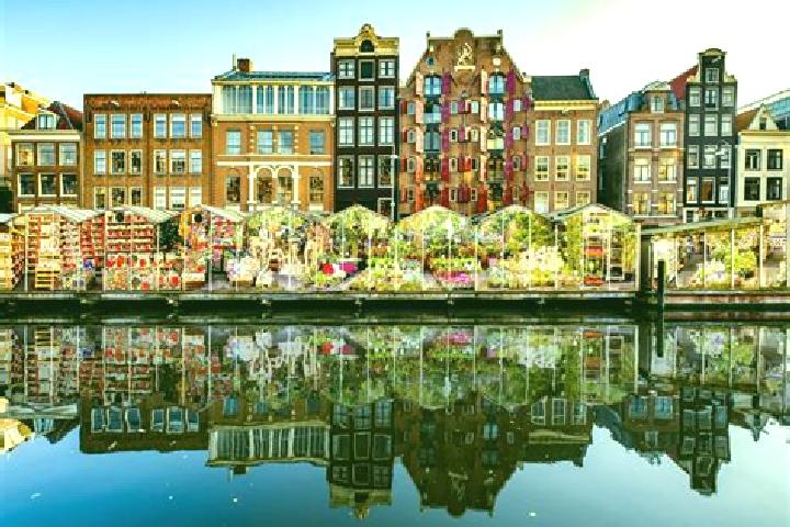 Escorts IJmuiden, Netherlands — Local Companions