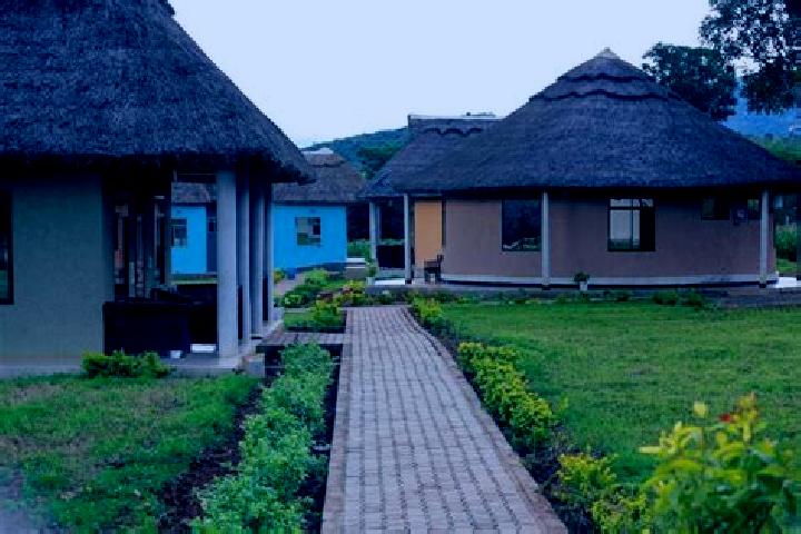 Escorts Ilula, Tanzania — Local Companions