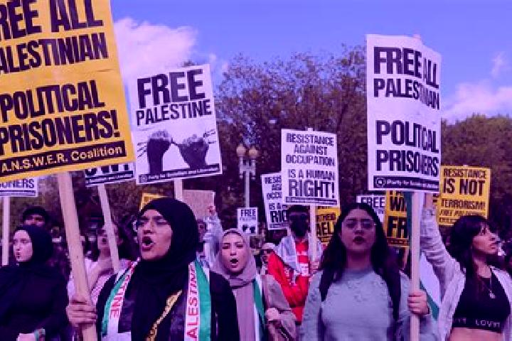 Escorts Imrish, Palestine — Local Companions