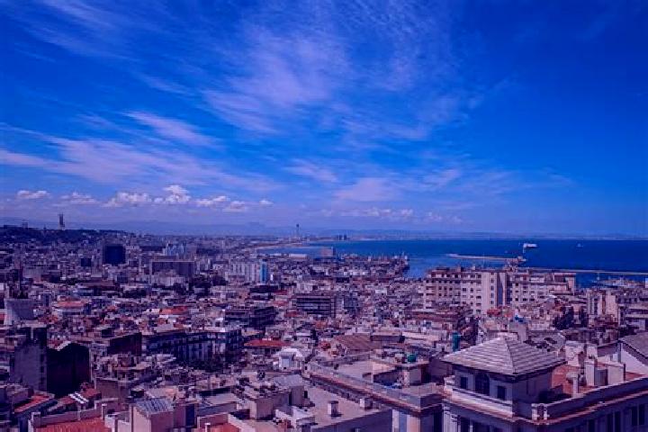 Escorts in Algeria — City Directory — Page 7