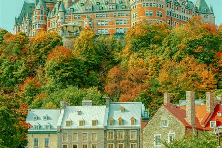 Escorts in Canada — City Directory — Page 18