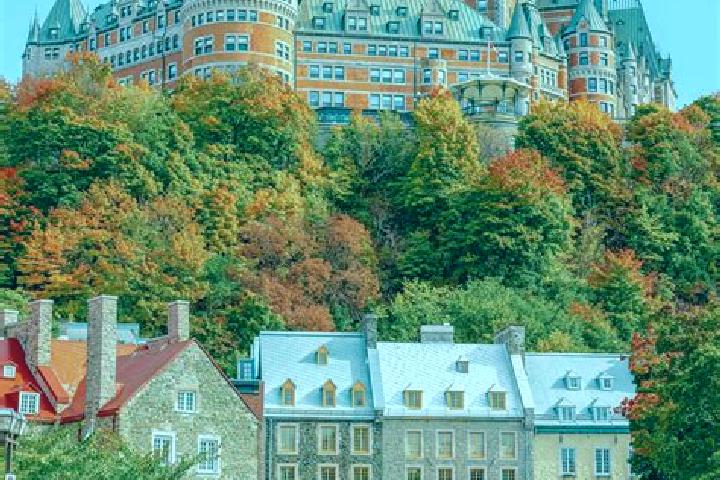 Escorts in Canada — City Directory — Page 61