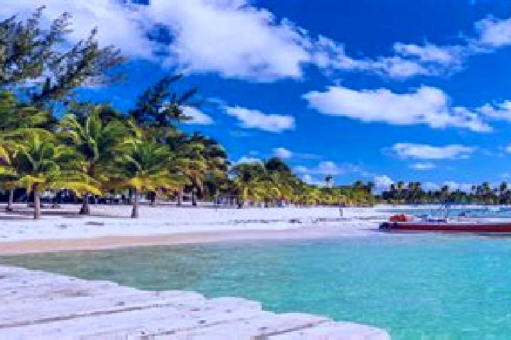 Escorts in Dominican Republic — City Directory