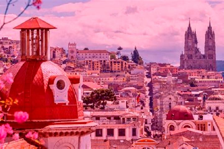 Escorts in Ecuador — City Directory — Page 6
