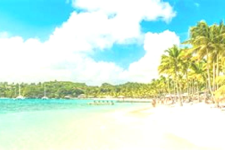 Escorts in Guadeloupe — City Directory