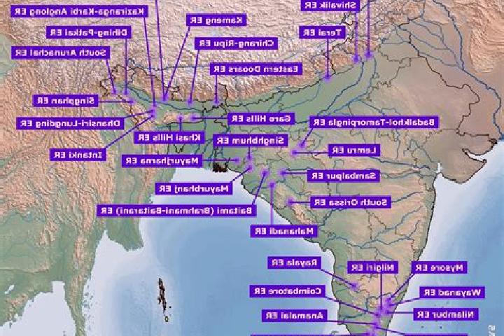 Escorts in India — City Directory — Page 12