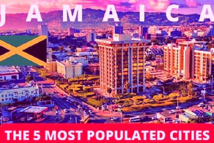 Escorts in Jamaica — City Directory — Page 3