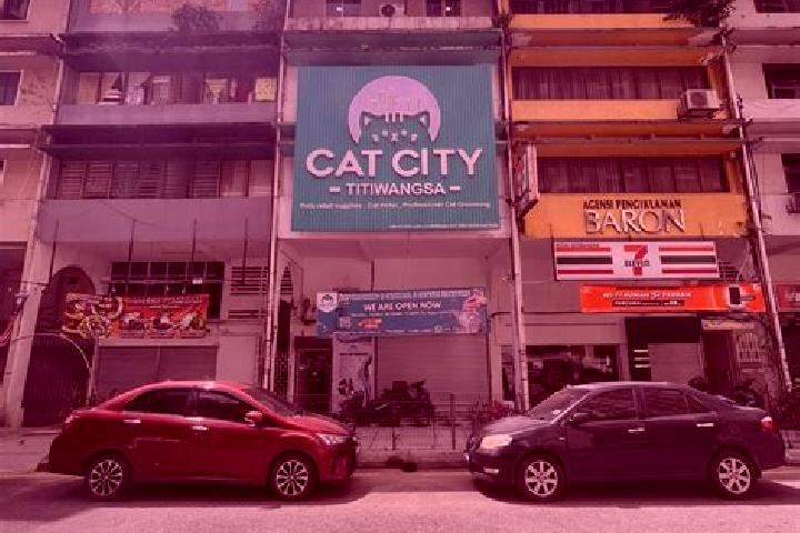 Escorts in Malaysia — City Directory — Page 13