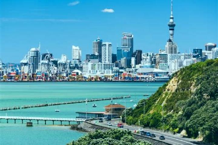 Escorts in New Zealand — City Directory — Page 12