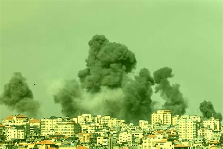 Escorts in Palestine — City Directory — Page 3