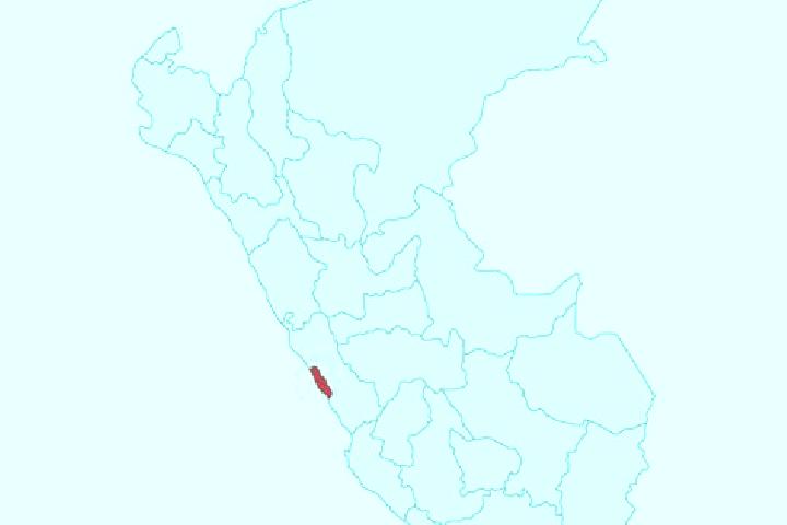 Escorts in Peru — City Directory — Page 41