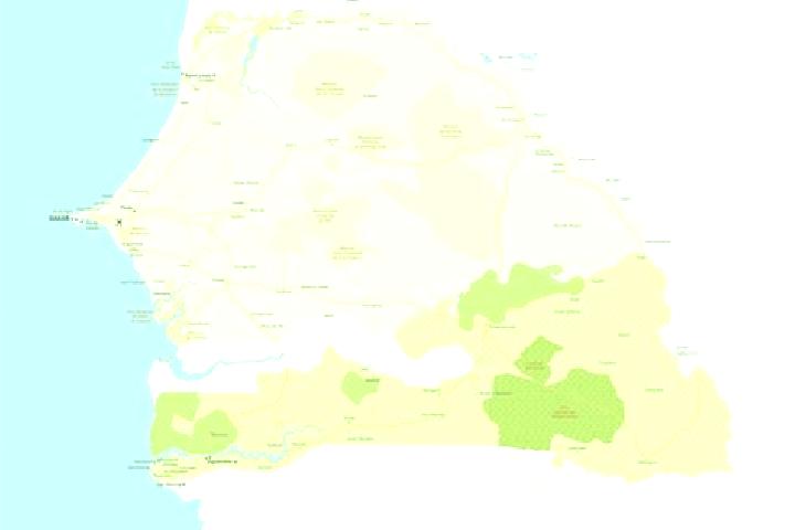 Escorts in Senegal — City Directory — Page 2