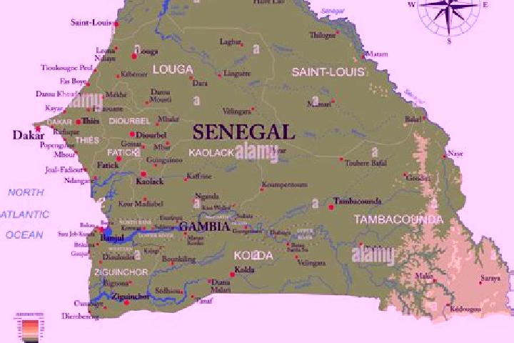 Escorts in Senegal — City Directory — Page 3