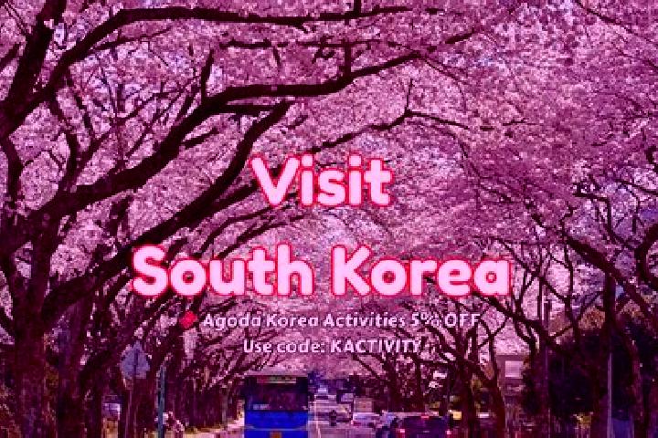 Escorts in South Korea — City Directory