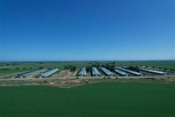 Escorts Ingle Farm, Australia — Local Companions