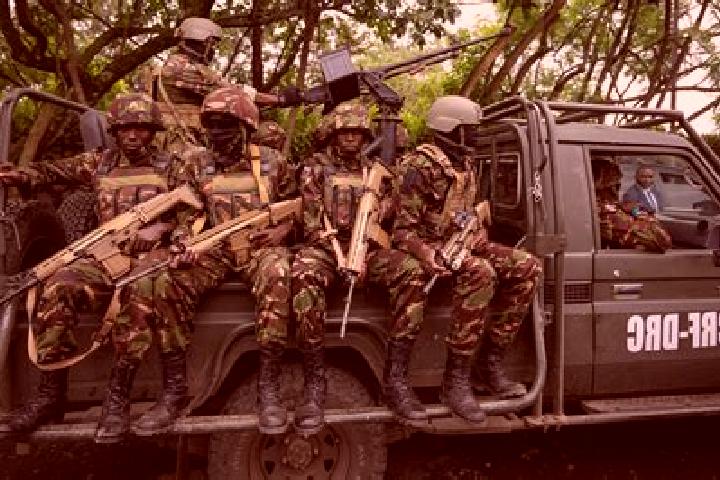 Escorts Inkisi, DR Congo — Local Companions