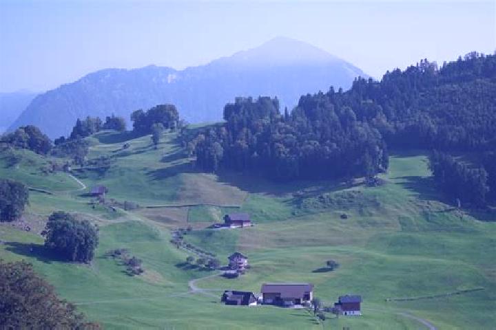 Escorts Ins, Switzerland — Local Companions