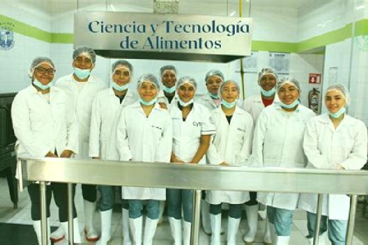 Escorts Instituto de Biociencias, Brazil — Local Companions