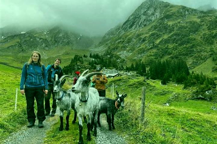 Escorts Isenthal, Switzerland — Local Companions
