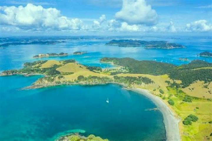 Escorts Island Bay, New Zealand — Local Companions